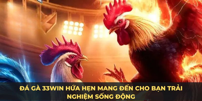 Đa dạng cửa cược 